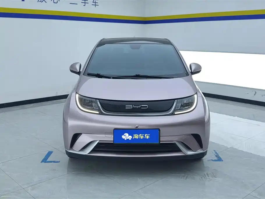 BYD Dolphin 2021 Model 405km Fashion Edition фото 2
