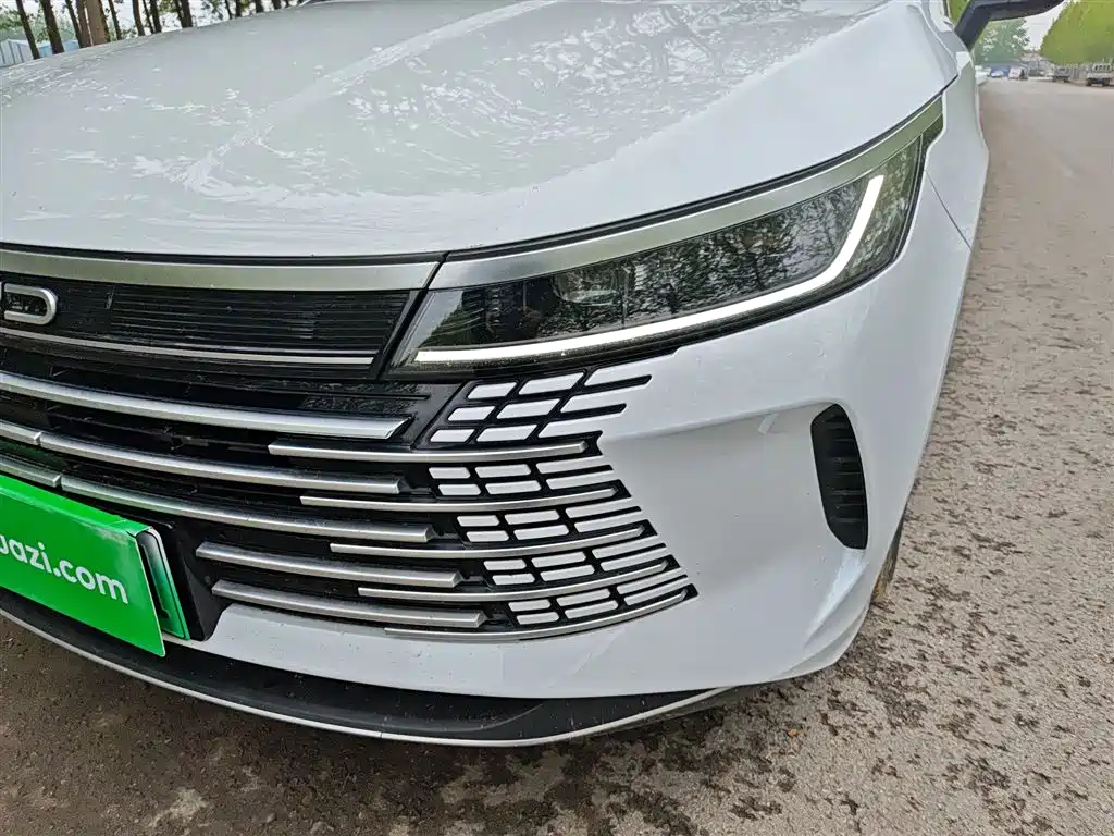 BYD Destroyer 05 2024 Glory Edition DM-i 55KM Luxury фото 18