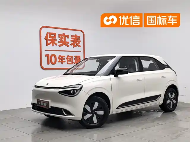 Dongfeng Yipai Nano 01 2024 Renewal Edition 330 Air