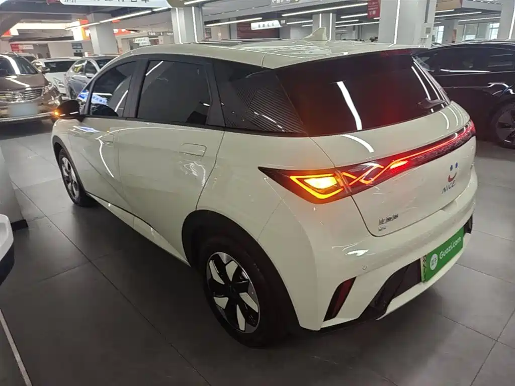 BYD Dolphin 2025 420km Fashion Edition фото 5