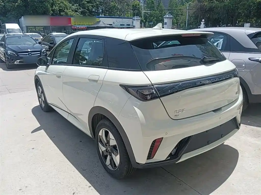 BYD Dolphin 2024 Glory Edition 420km Freedom Edition фото 5