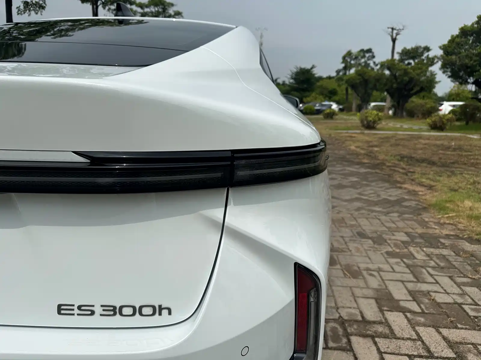 Фото 23 - Lexus ES