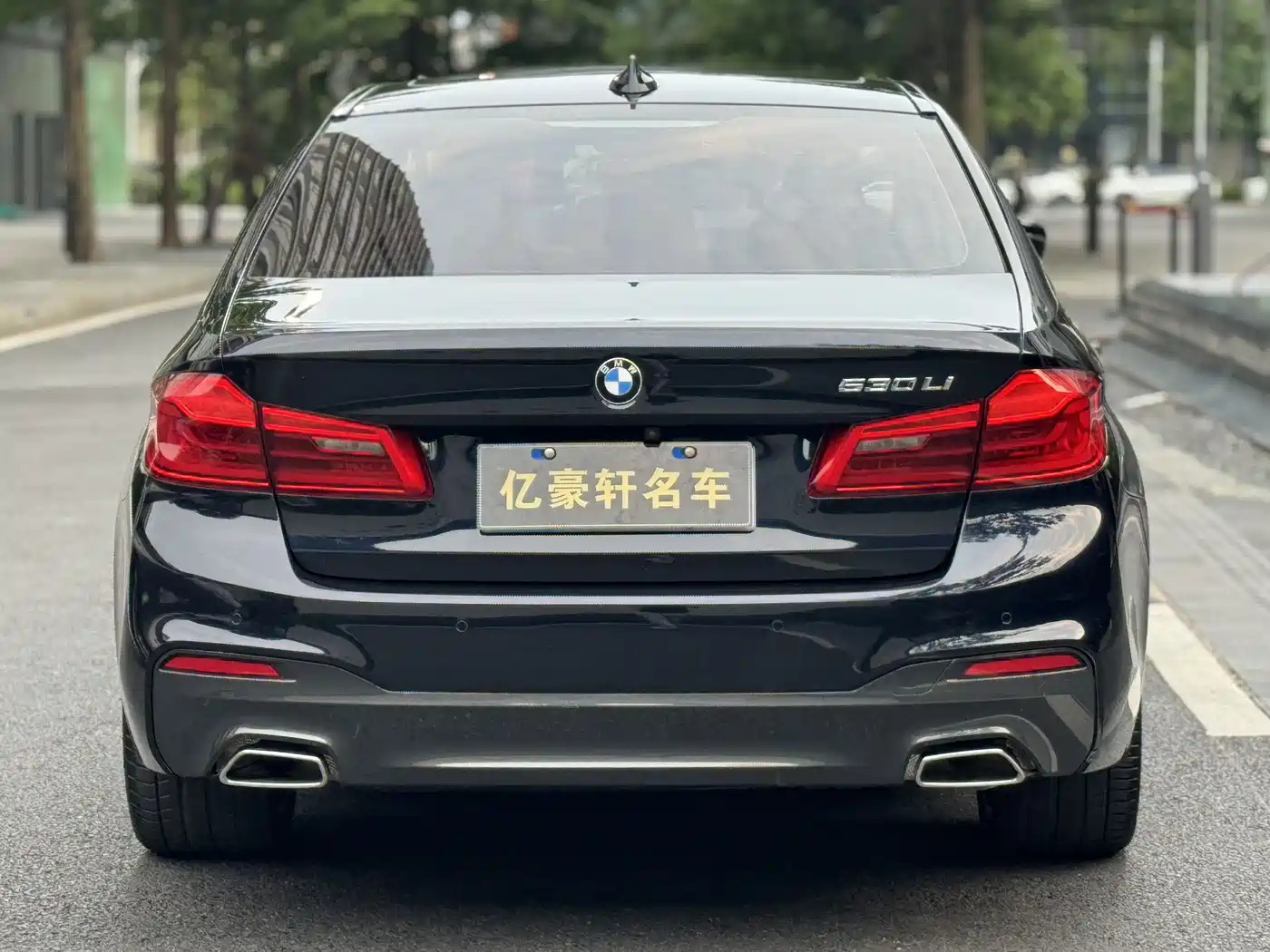 BMW 5 Series 2019 530Li Leading M Sport Package фото 6