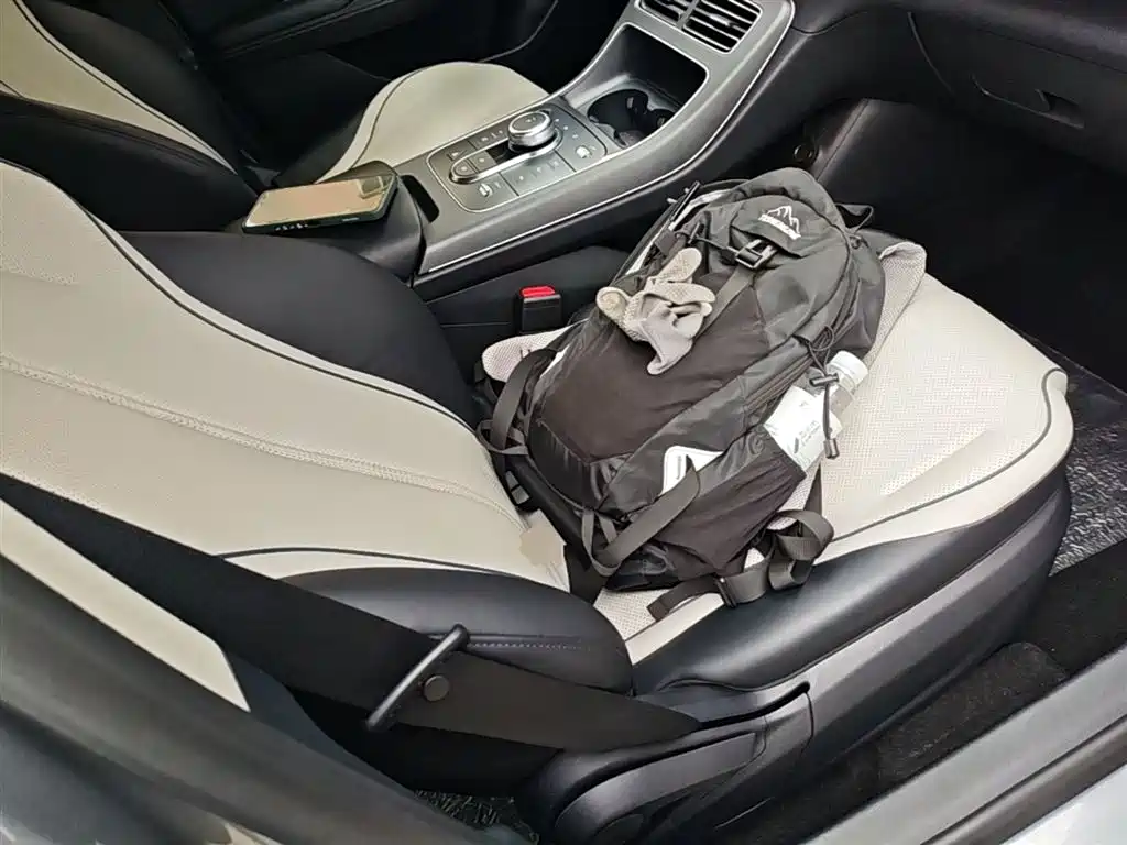 BYD Destroyer 05 2023 Champion Edition DM-i 55KM Luxury фото 25