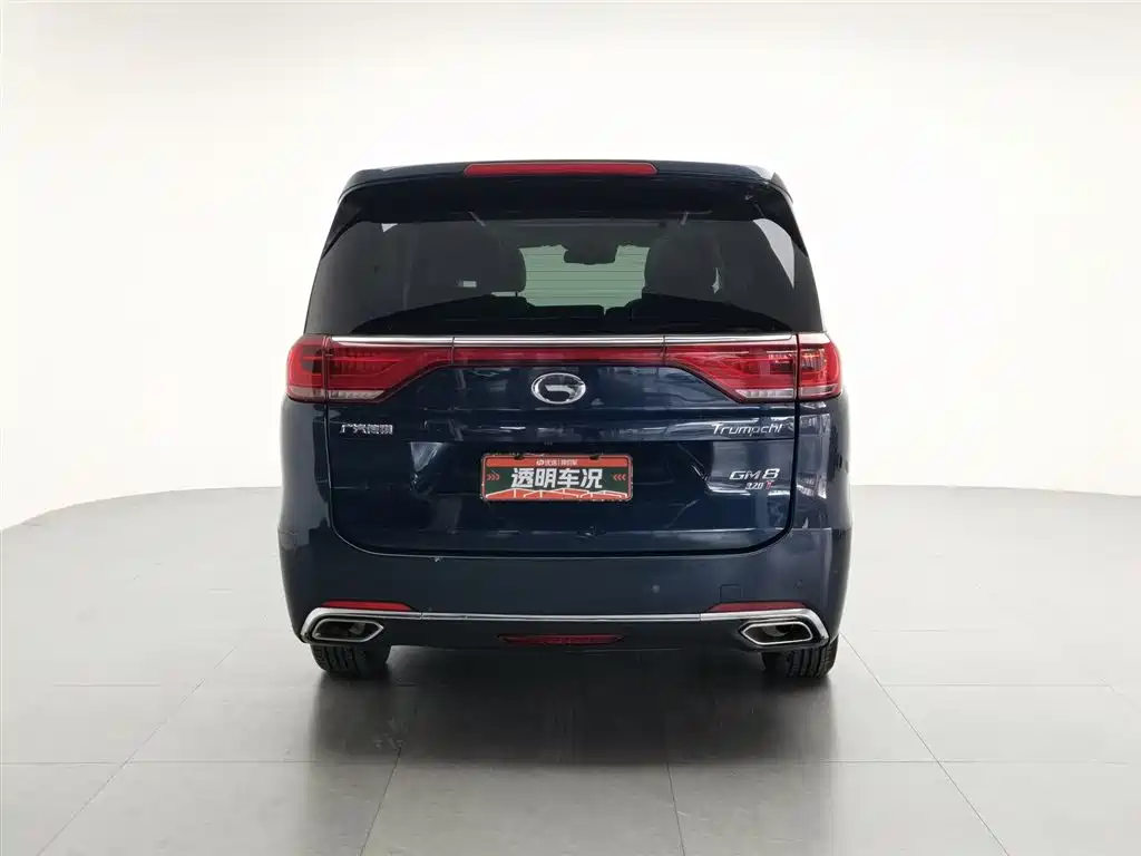 GAC Trumpchi Trumpchi M8 2018 320T Flagship Edition фото 4