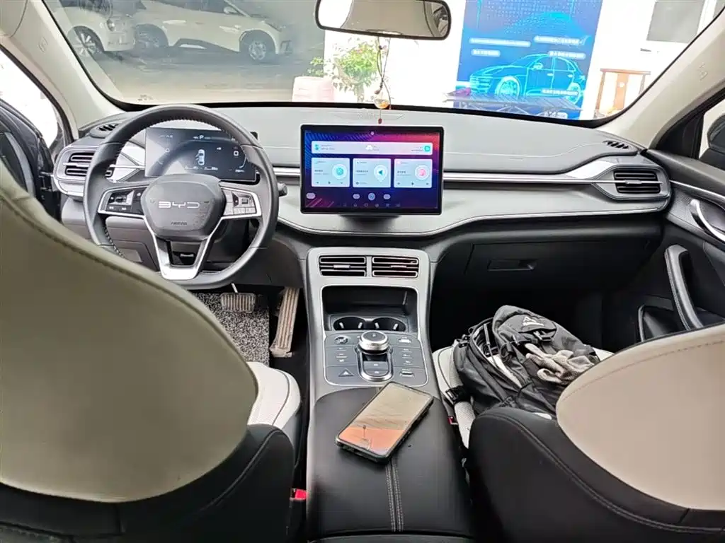 BYD Destroyer 05 2023 Champion Edition DM-i 55KM Luxury фото 10