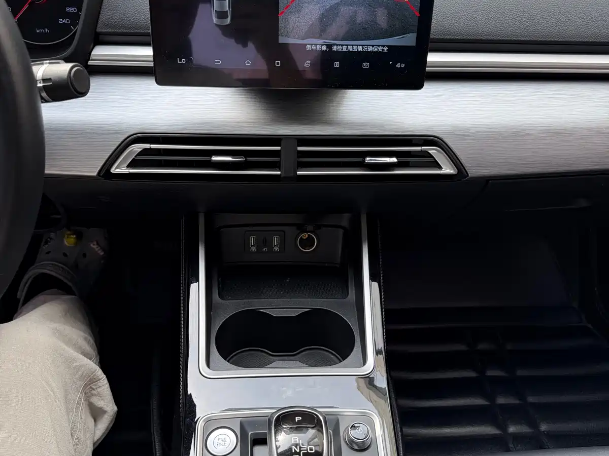 BYD Qin New Energy 2019 Long Range Edition Premium фото 14