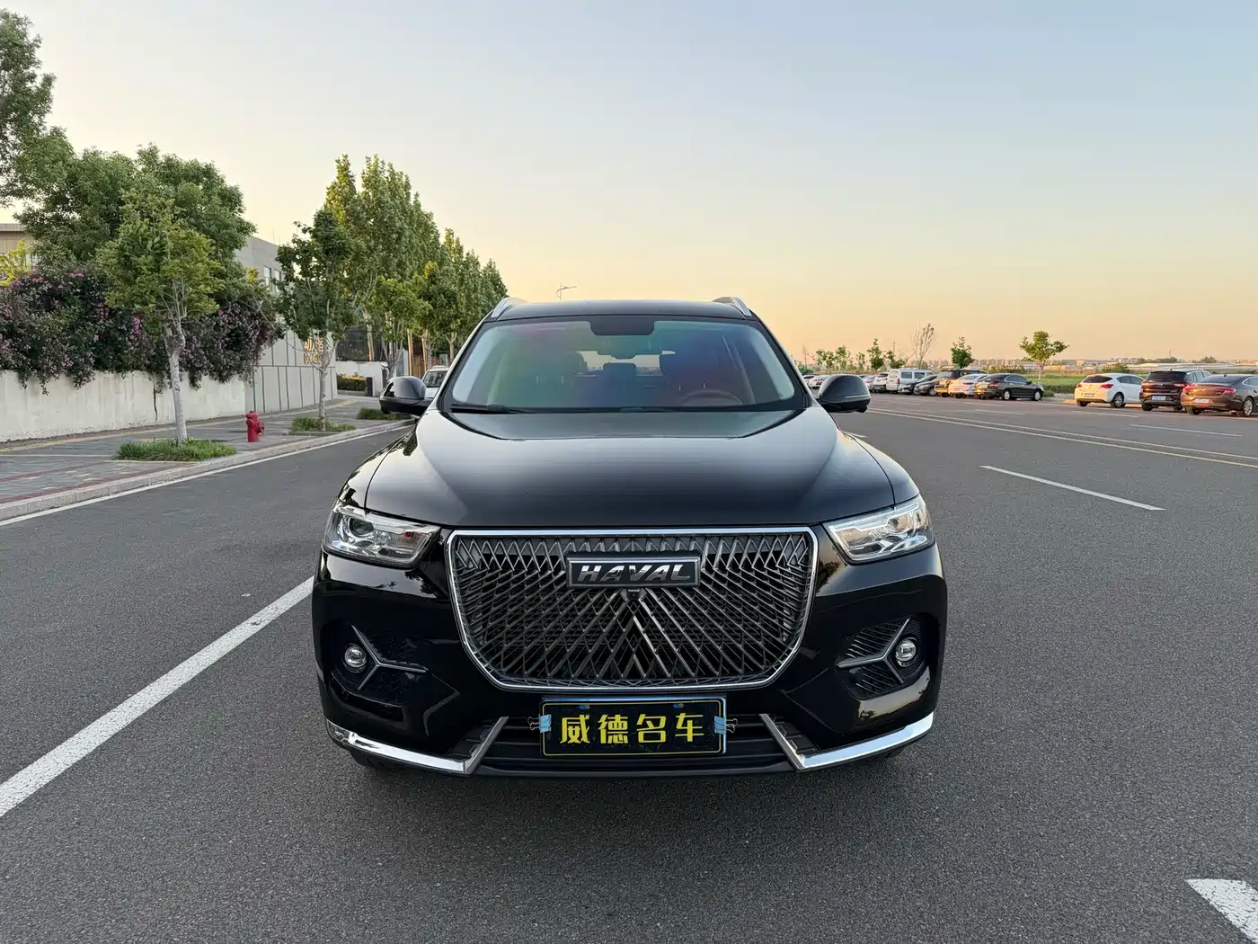Haval H6 2021 1.5GDIT Automatic Champion Edition фото 2