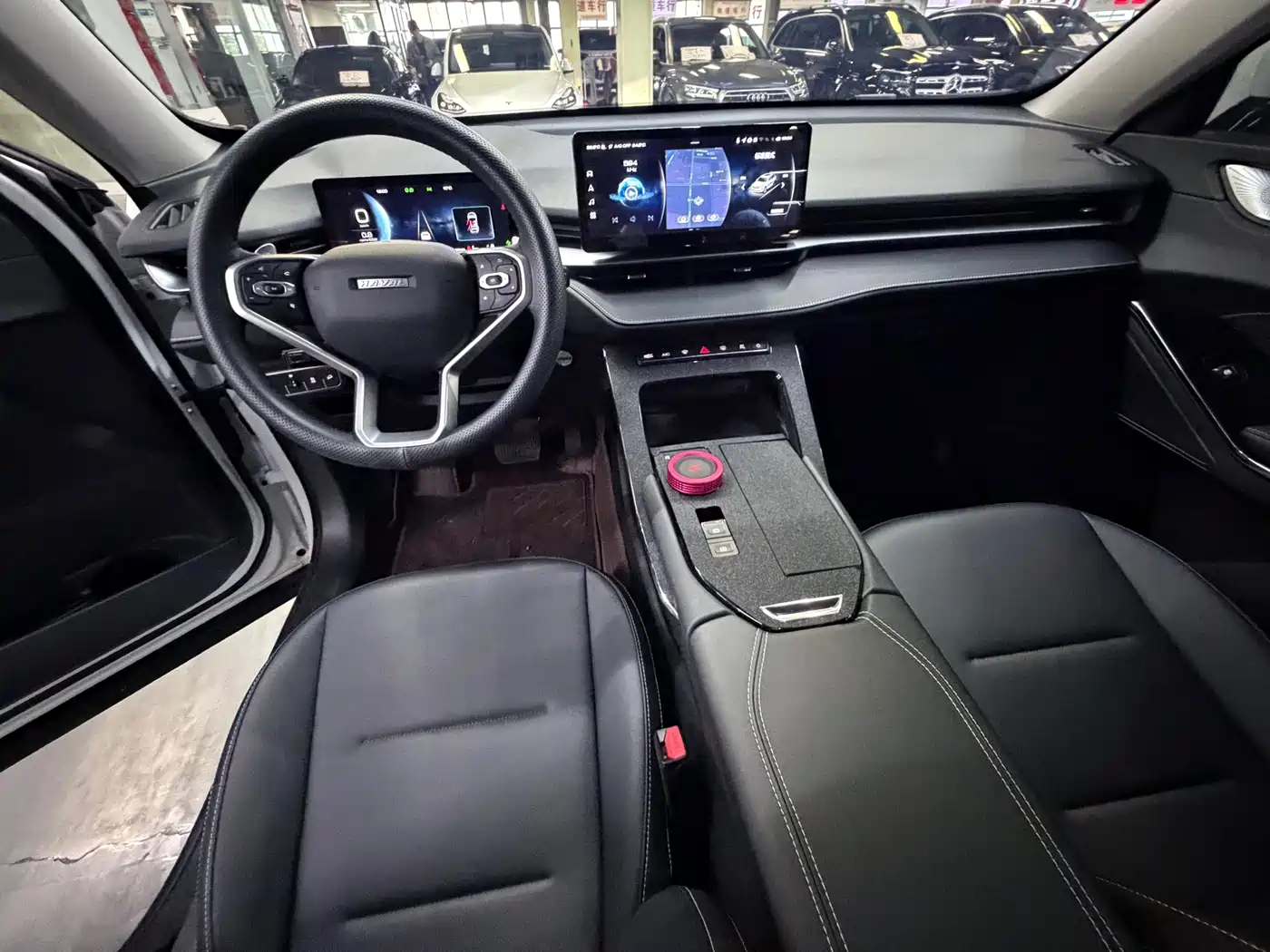 Haval H6 2024 1.5T 2WD Pro фото 12