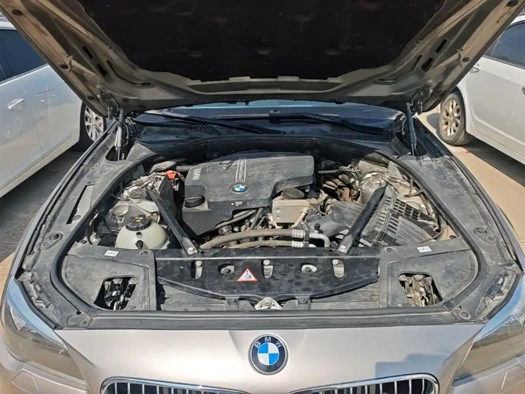 BMW 5 Series 2014 520Li Elegance фото 20