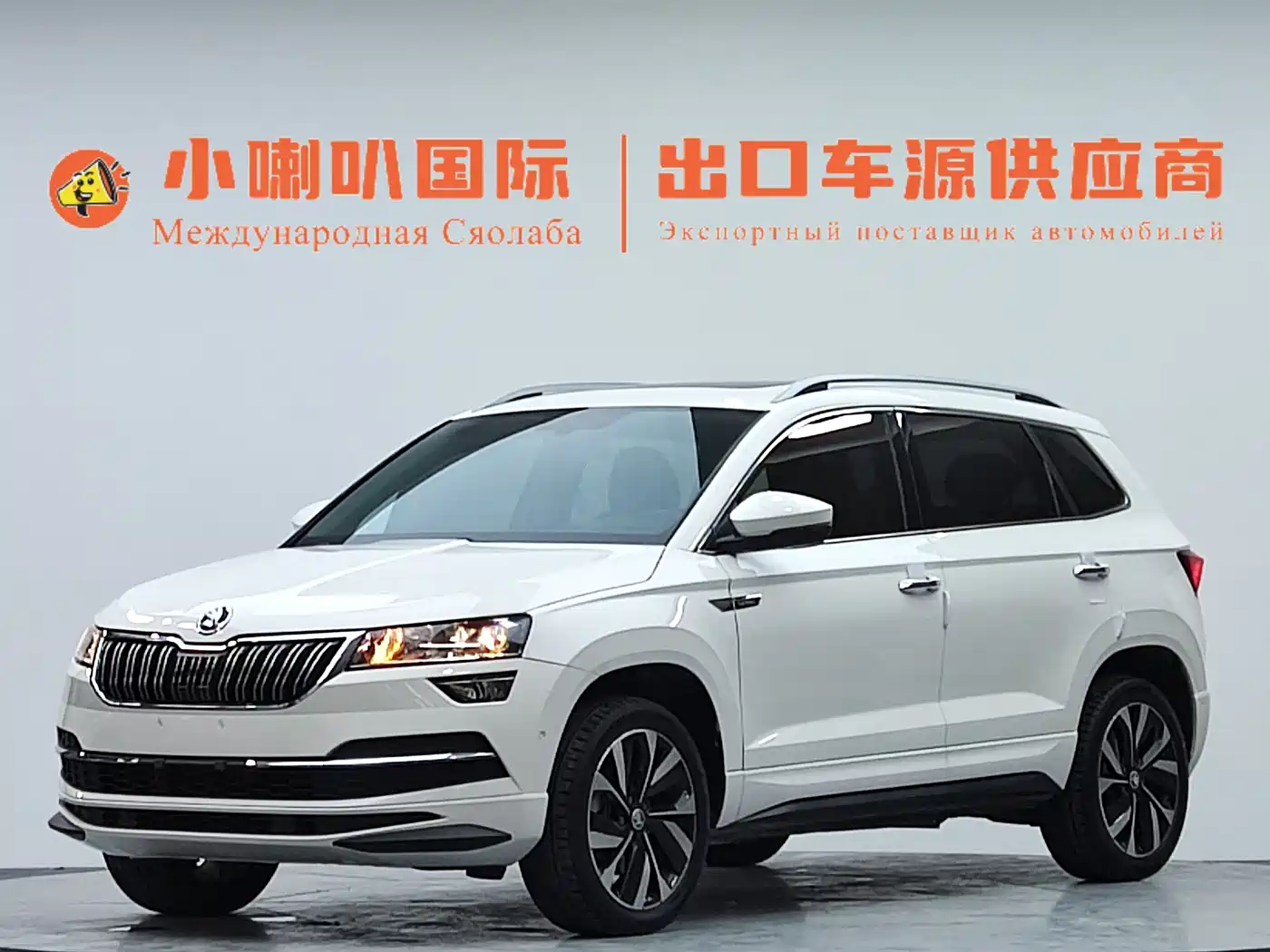 SKODA KROK