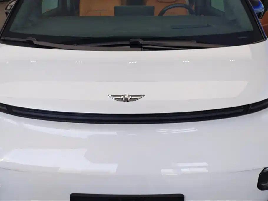 GEELY GALAXY WING TRUE L380