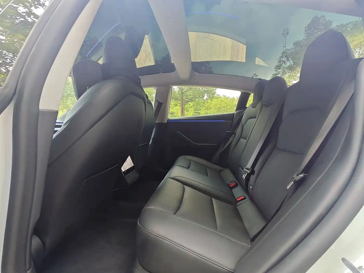 Tesla Model 3 2025 Model Rear-Wheel Drive Edition фото 10
