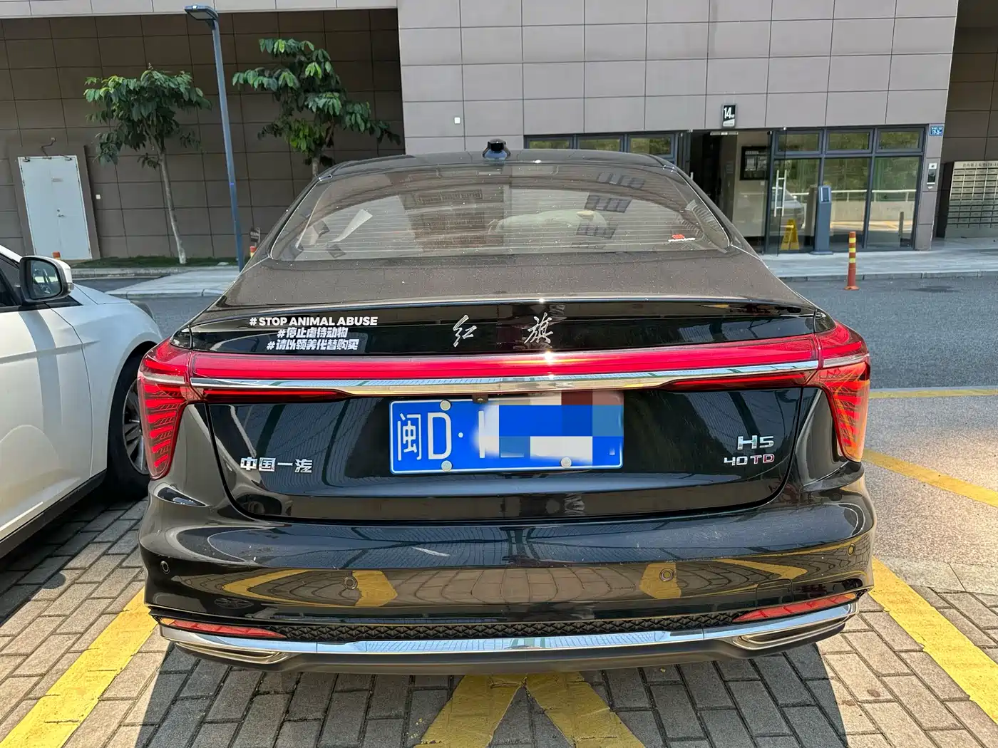 Hongqi H5 2024 2.0T Automatic Smart Connect Flag Enjoy Edition фото 5
