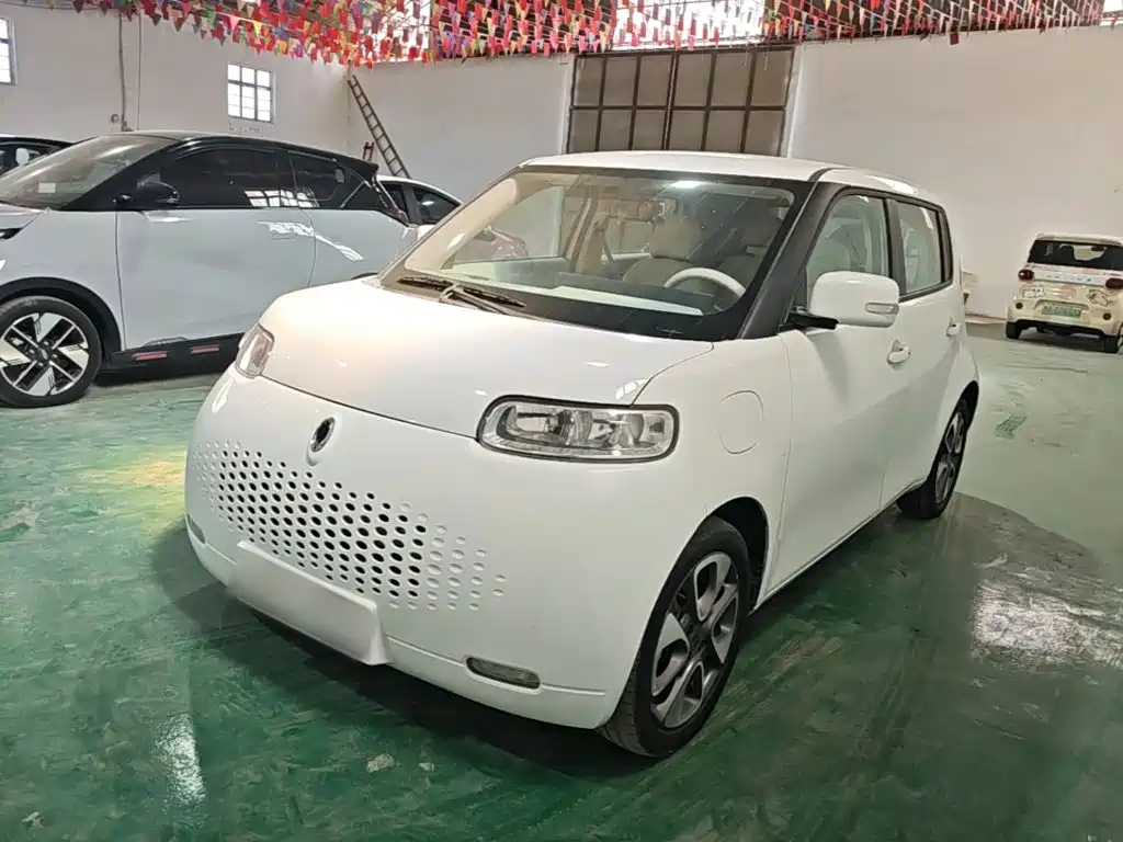 Ora White Cat 2021 2020 305km Luxury