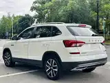 صورة 11 - Škoda Kamiq