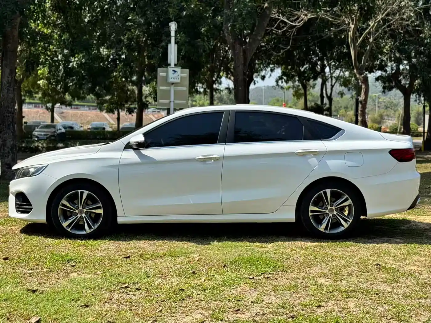 GEELY AUTOMOBILE BINRUI