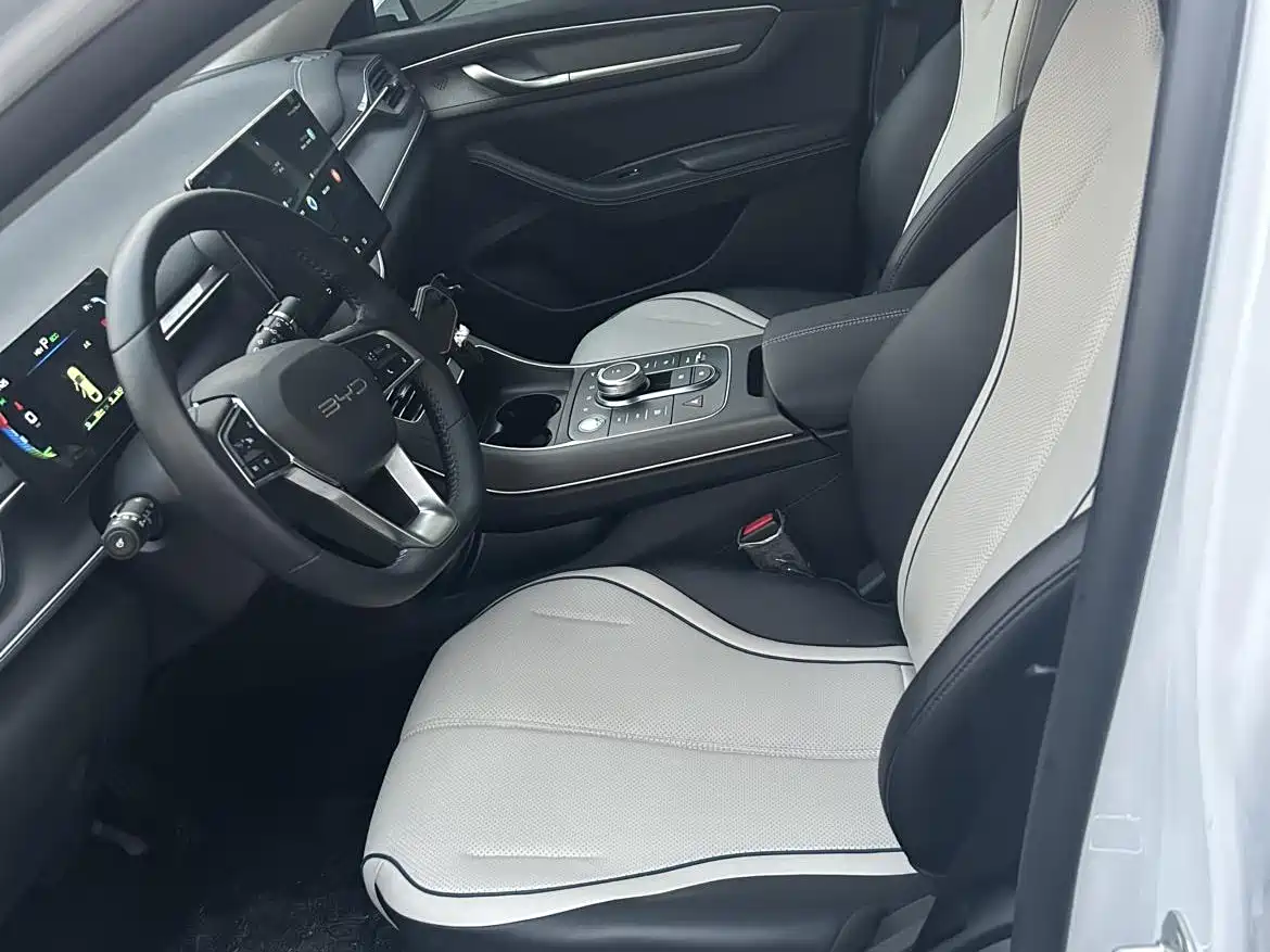 BYD Destroyer 05 2024 Glory Edition DM-i 55KM Luxury фото 7