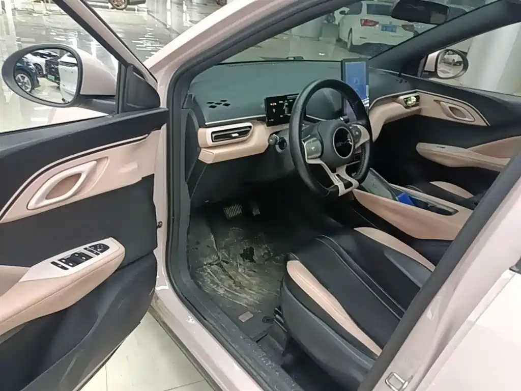 BYD Seagull 2023 Freedom Edition фото 16