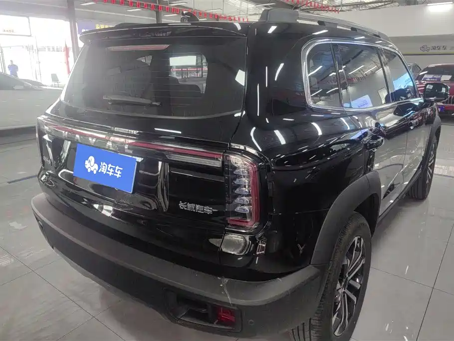Haval Big Dog 2024 1.5T DCT Border Collie Edition фото 3