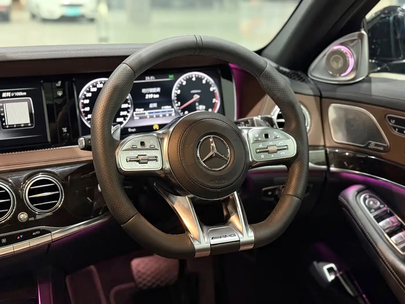 Mercedes-Benz S-Class 2014 S 500 L фото 14