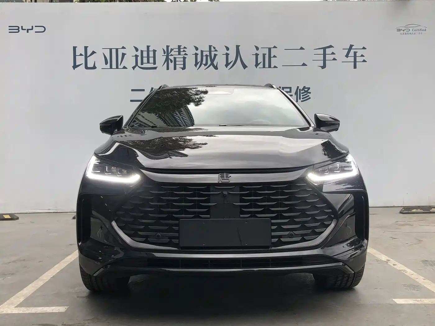 BYD TANGXIN ENERGY