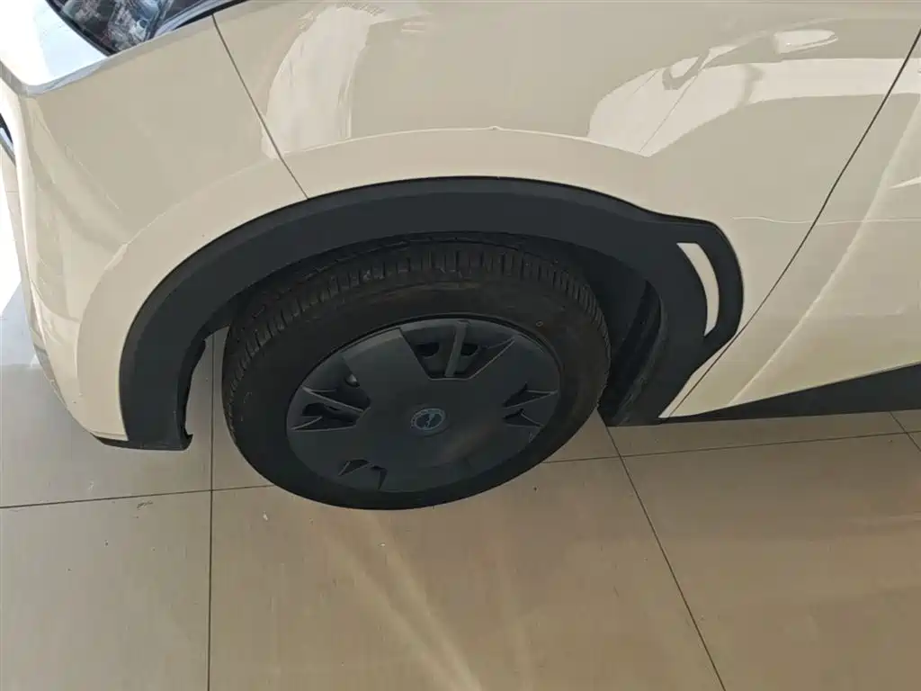 BYD Seagull 2025 305km Vitality фото 23
