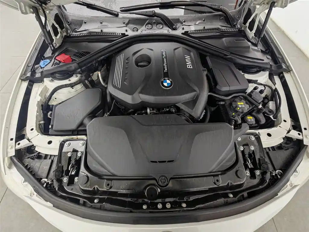 BMW 3 Series 2017 320Li M Sport фото 6