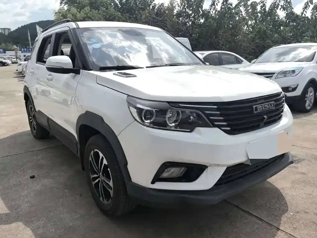 Bisu Auto Bisu T3 2018 2017 1.3T Manual Luxury