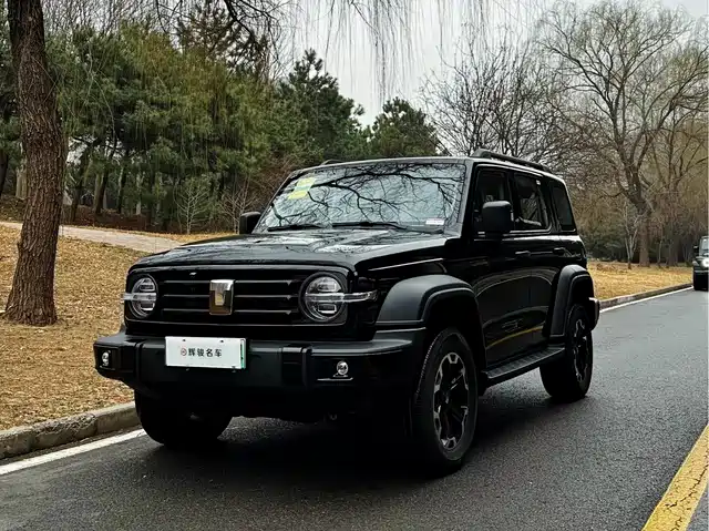 TANK TANK 300 NEW ENERGY