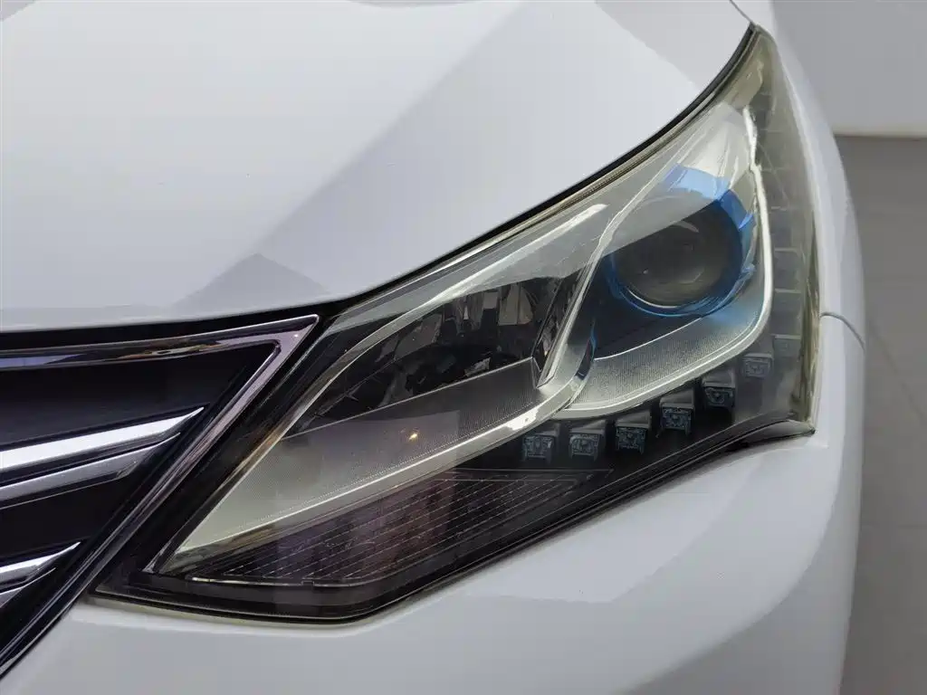 BYD Song 2018 1.5TID Auto Connected Premium фото 7