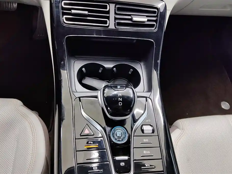BYD Qin PLUS 2024 Glory Edition DM-i 55KM Leading фото 16