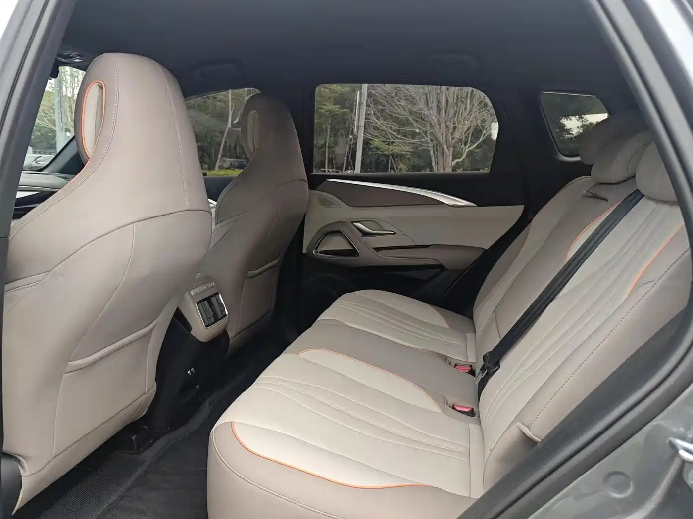 BYD Song Pro New Energy 2024 Glory Edition DM-i 71KM Pilot фото 8