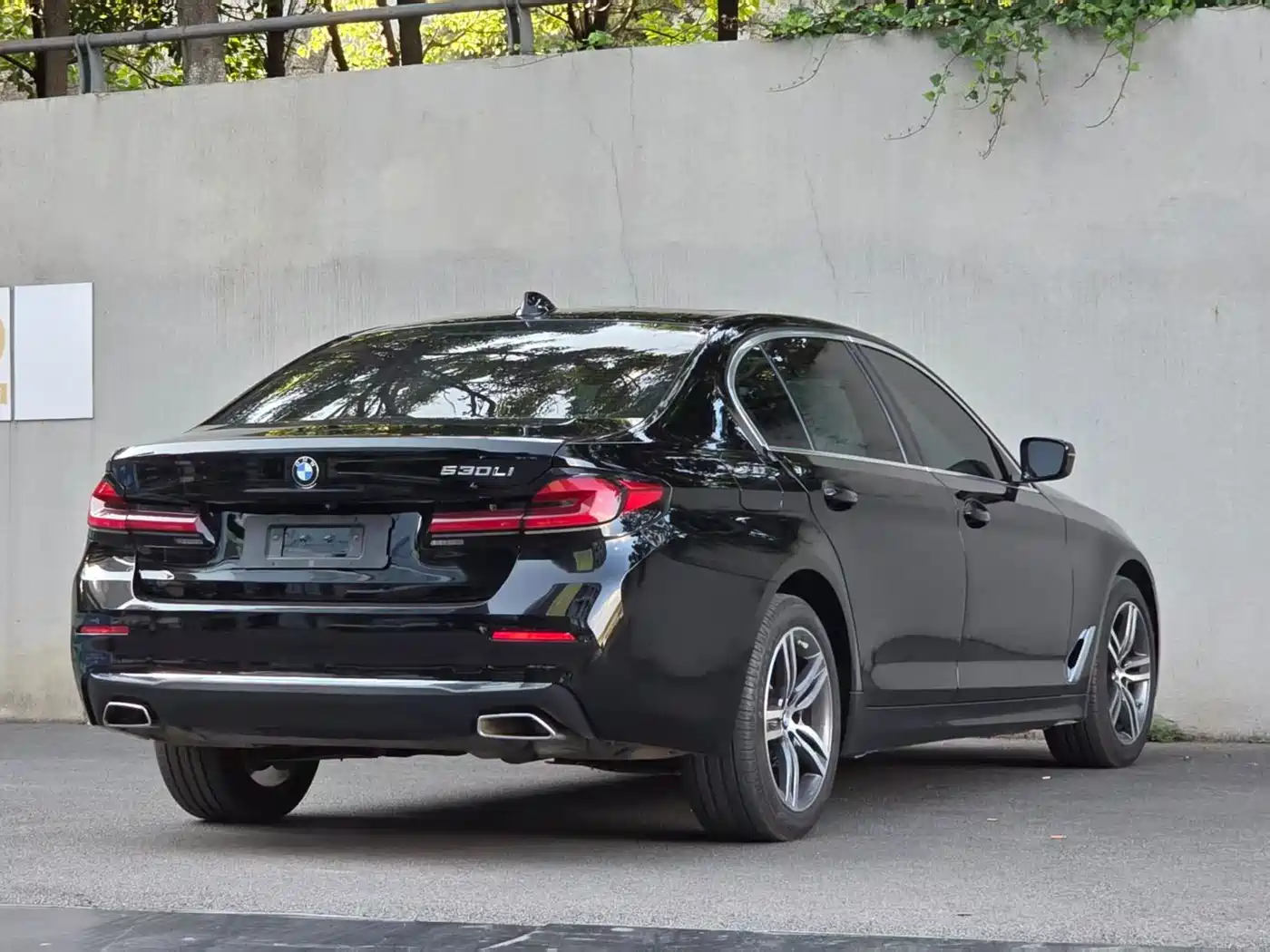 BMW 5 Series 2021 530Li Leading Luxury Package фото 7