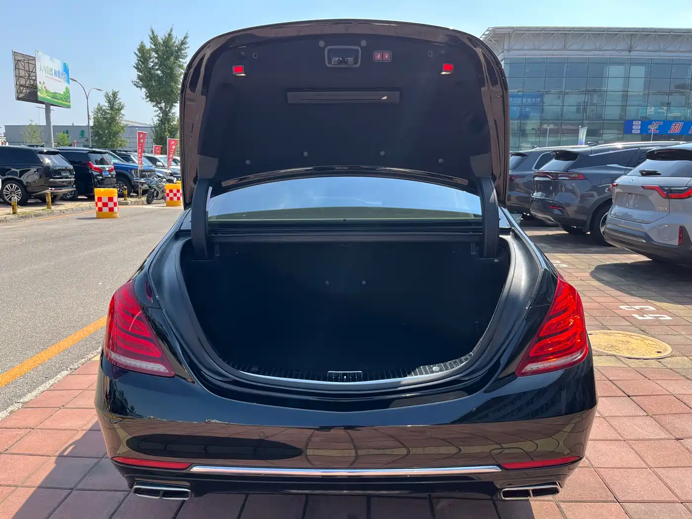 Mercedes-Benz S-Class 2014 S 600 L фото 31