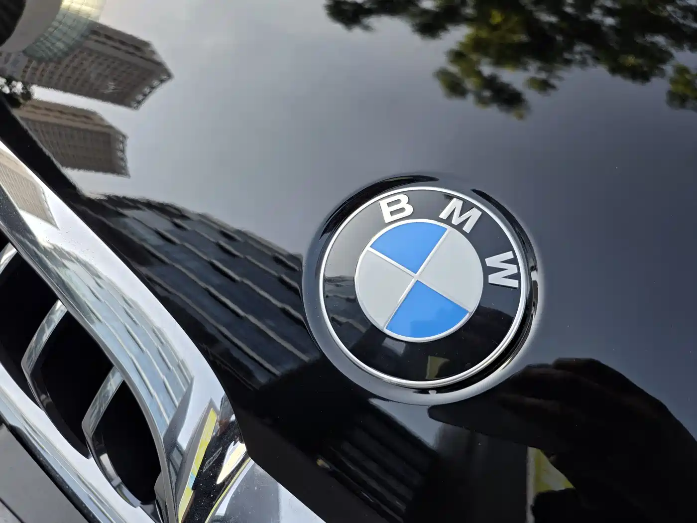 BMW 5 Series 2021 530Li Leading Luxury Package фото 10