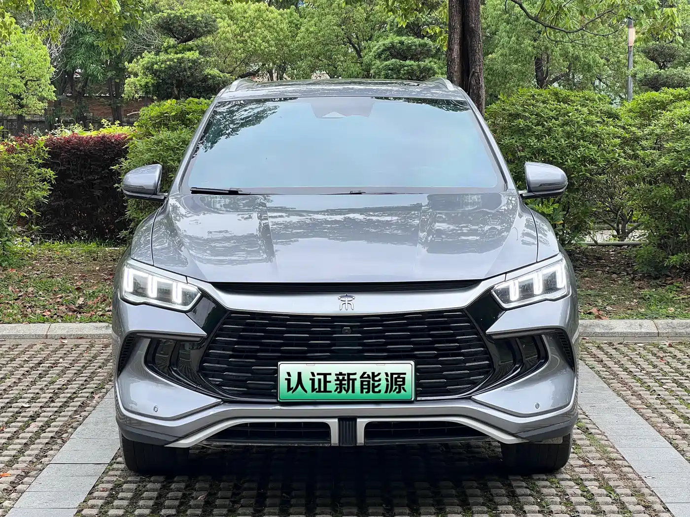BYD SONGJIANG NEW ENERGY