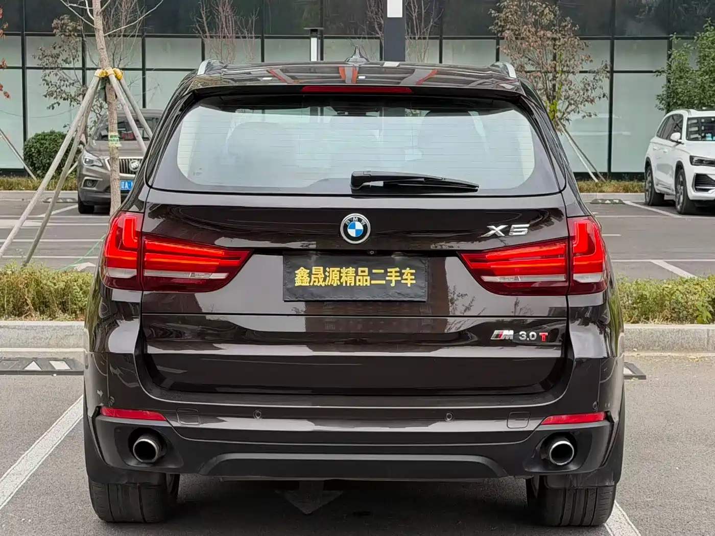 BMW X5 (Import) 2014 xDrive35i Elegance фото 14