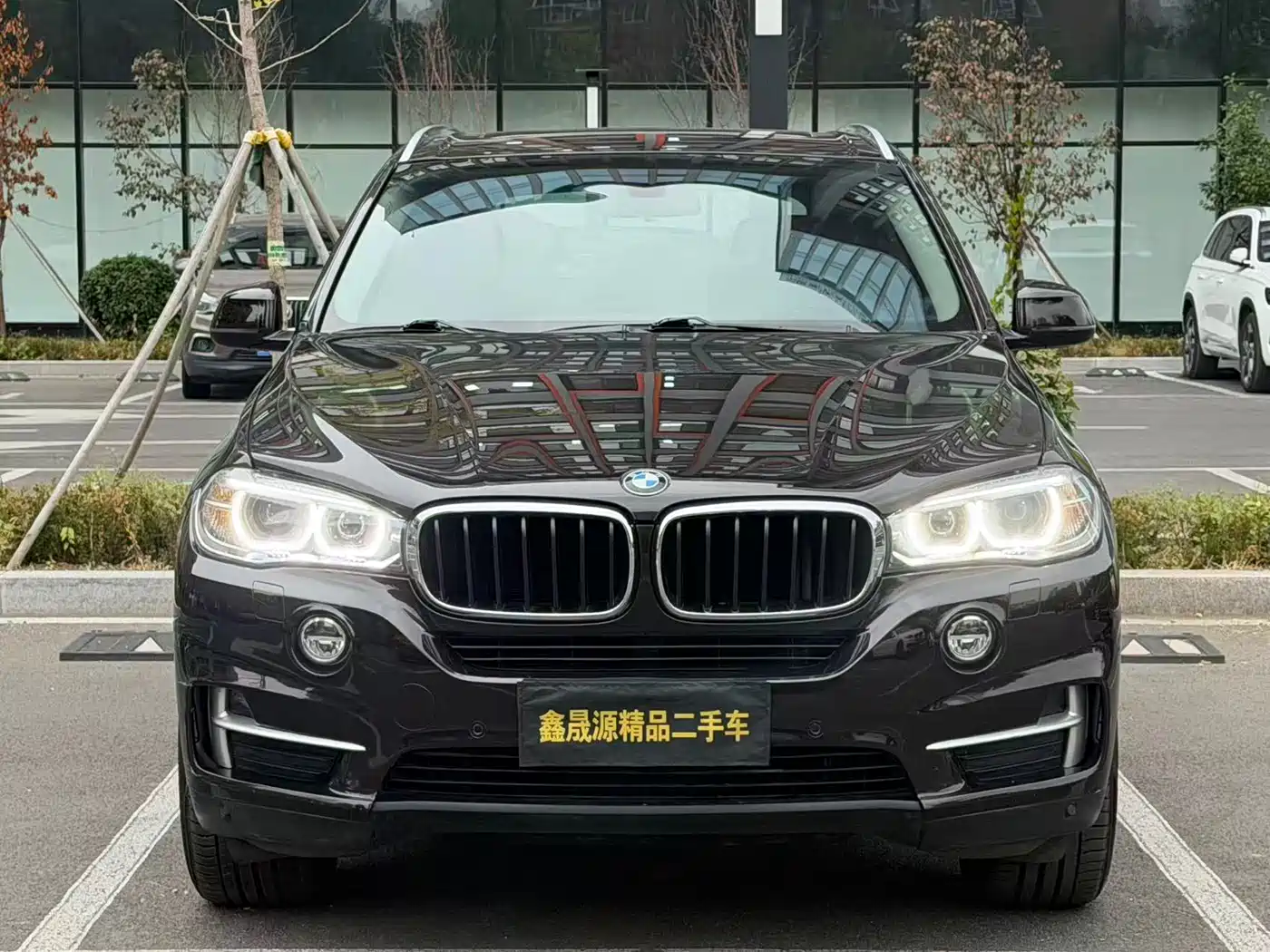 BMW X5 (Import) 2014 xDrive35i Elegance фото 2