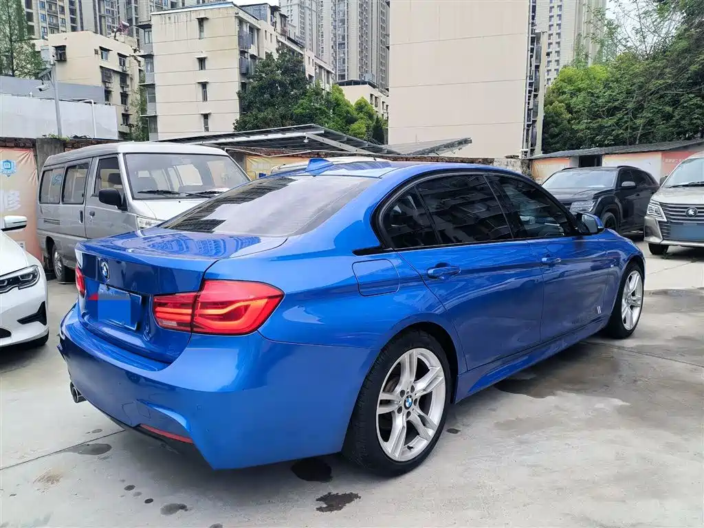BMW 3 Series 2019 320Li M Sport Package фото 13