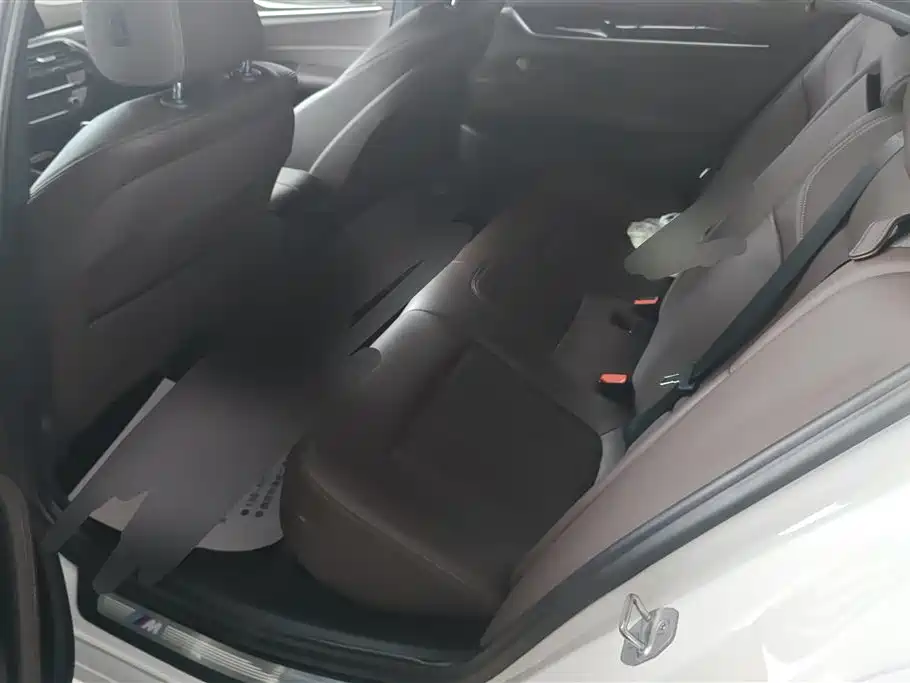 BMW 5 Series 2020 525Li M Sport Package фото 11