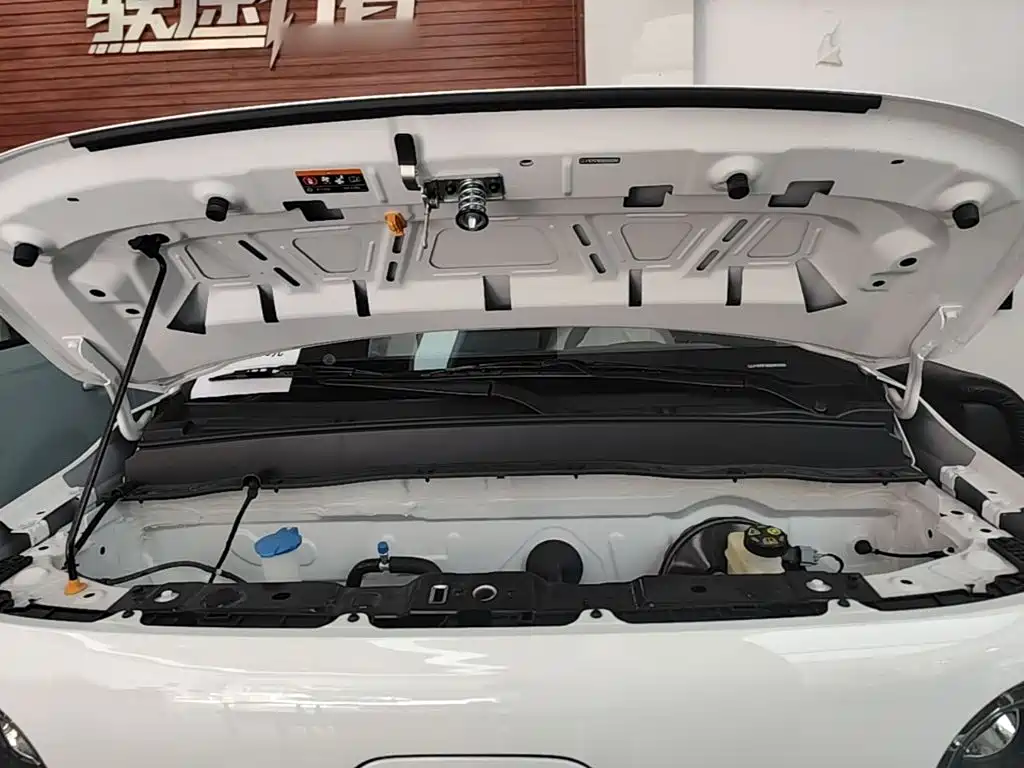Ruilan Auto Ruilan Blue Elf 2026 2025 Base Model