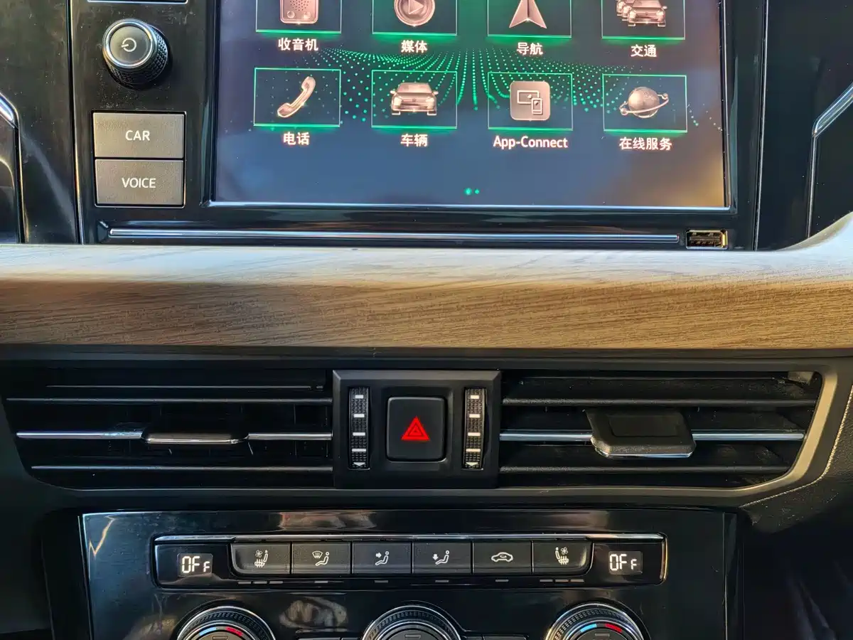 Photo 13 - Volkswagen Passat