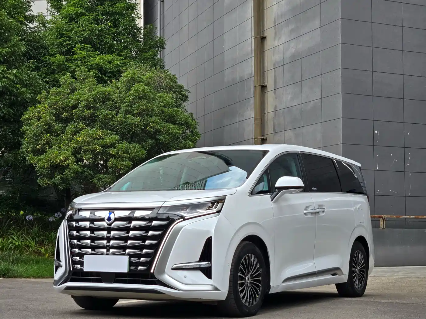 Denza D9 2022 DM-i 970 AWD Flagship