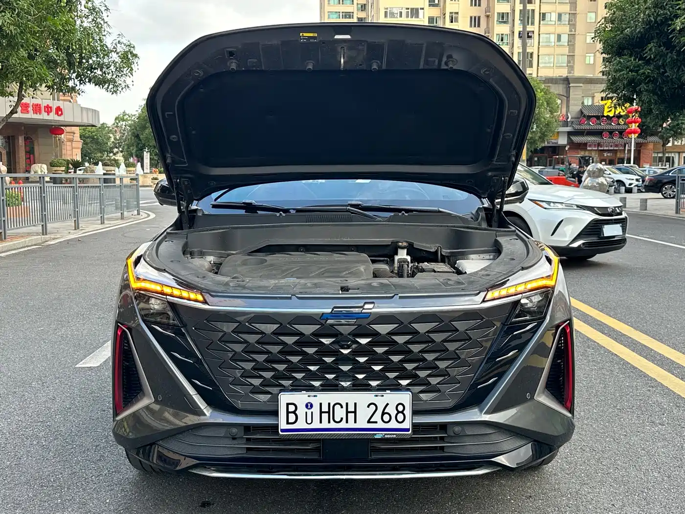 Changan Oshan Z6 2023 2023 Blue Whale 1.5T DCT Smart Leader