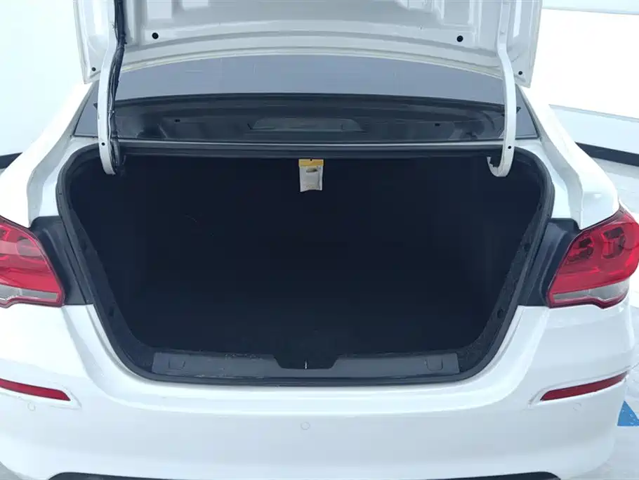 Chevrolet Cavalier 2019 320 Automatic Joy Edition фото 4