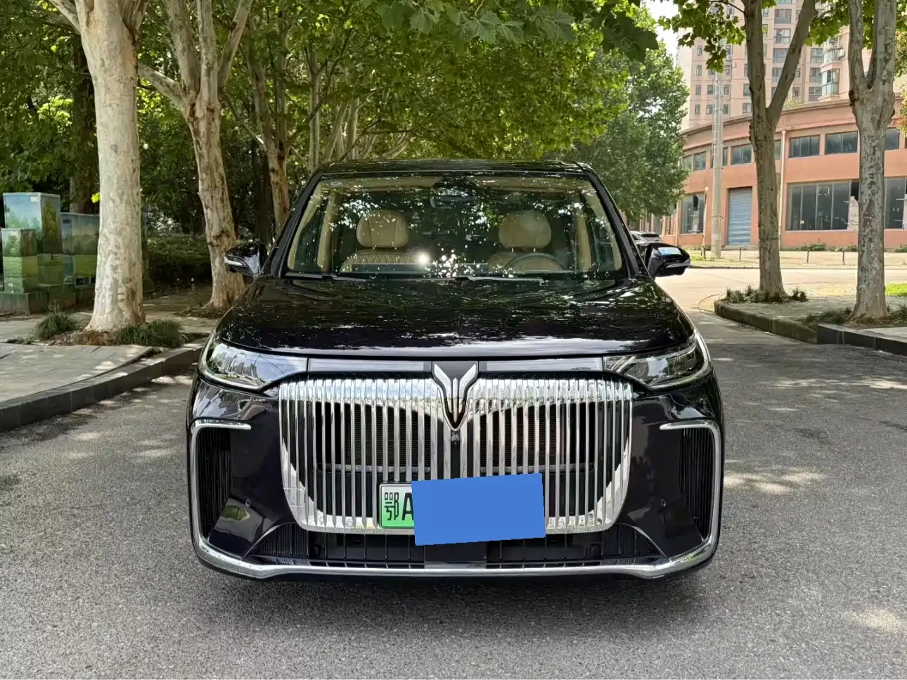 Voyah Auto Voyah Dreamer 2025 PHEV AWD Flagship Kunpeng Edition фото 2
