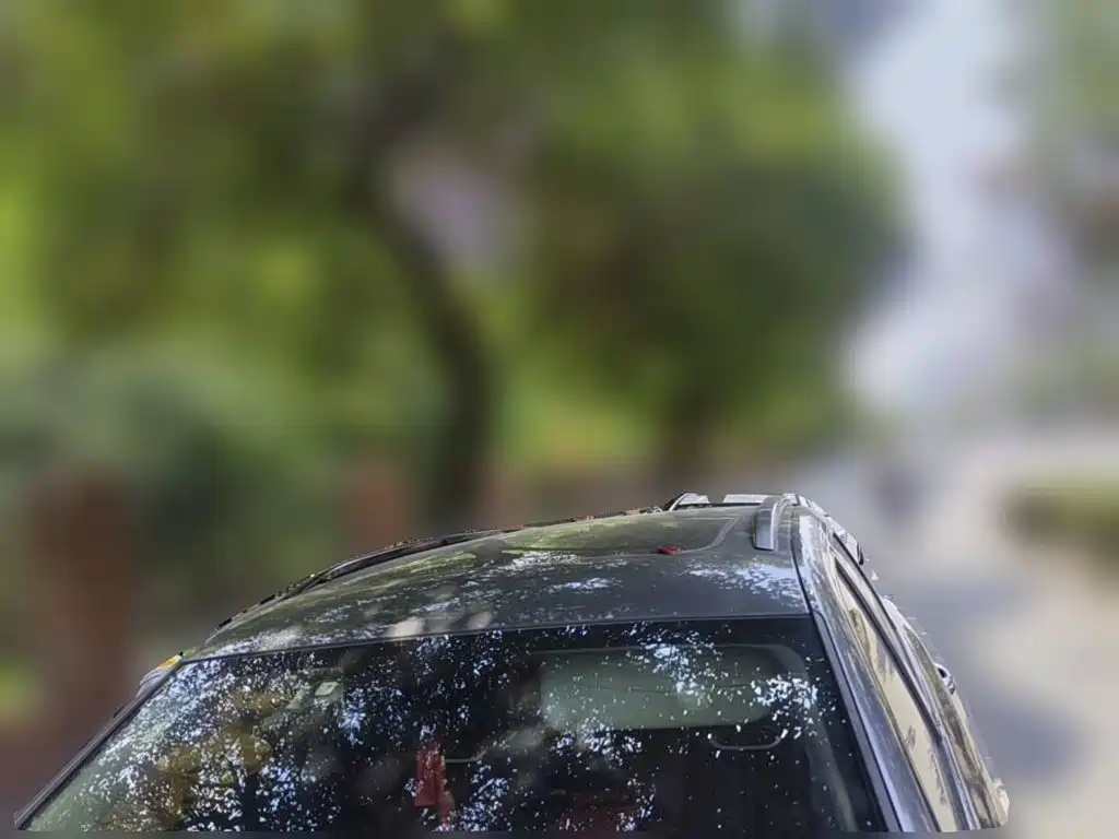 Фото 6 - Changan CS75 PLUS