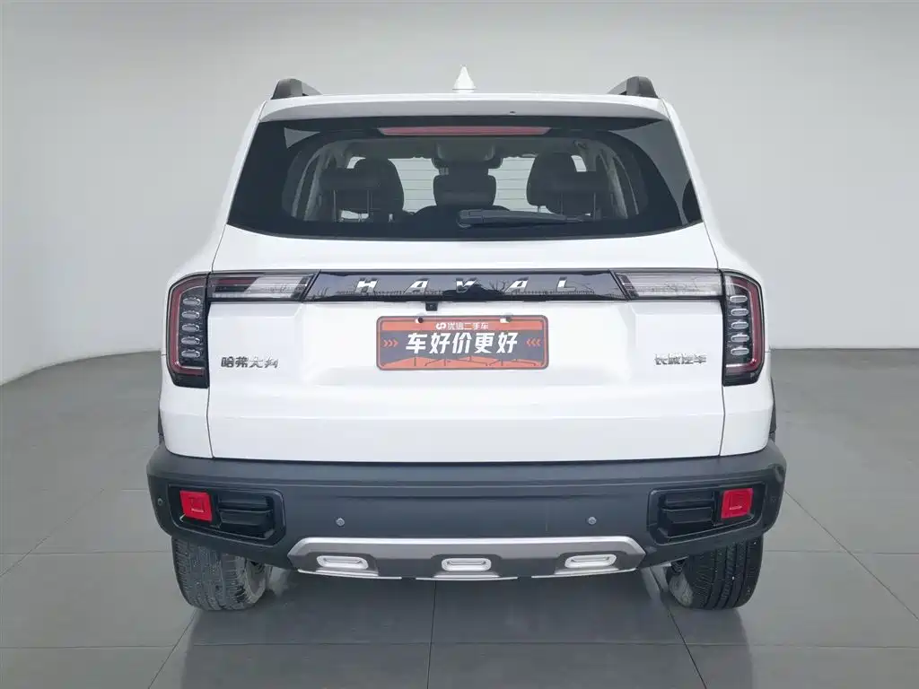 HAVAL BIG DOG