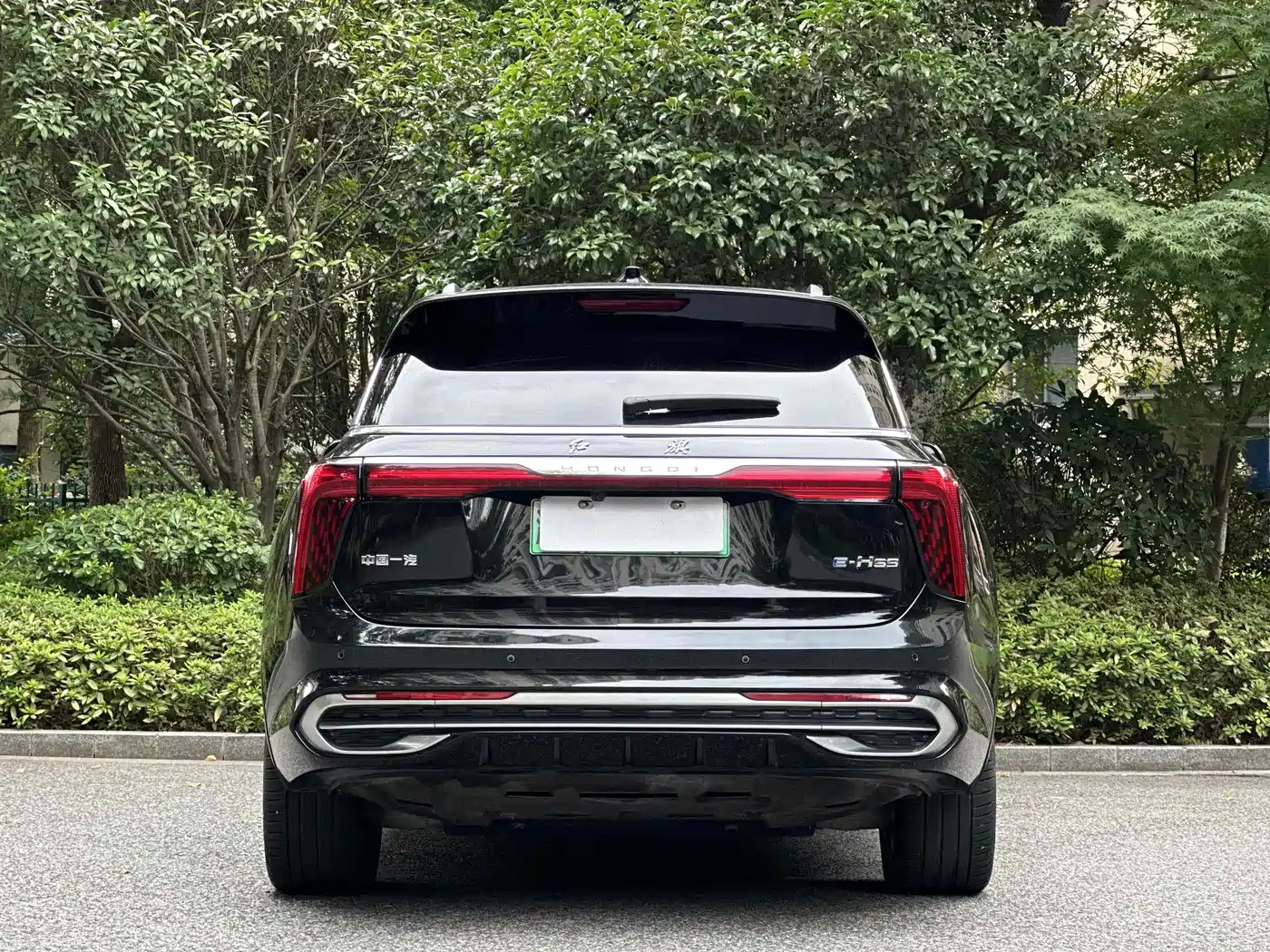 Hongqi E-HS9 2021 460km Flagship Comfort 6-seater фото 5